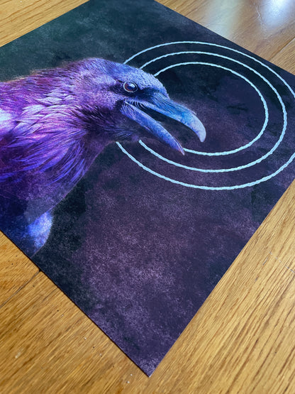 Silver Circle Raven