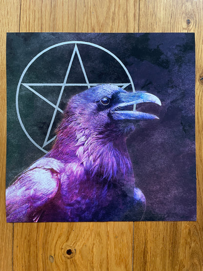 Silver Pentacle Raven