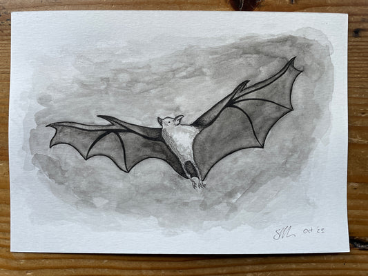 Flying Bat A5 (ORIGINAL)
