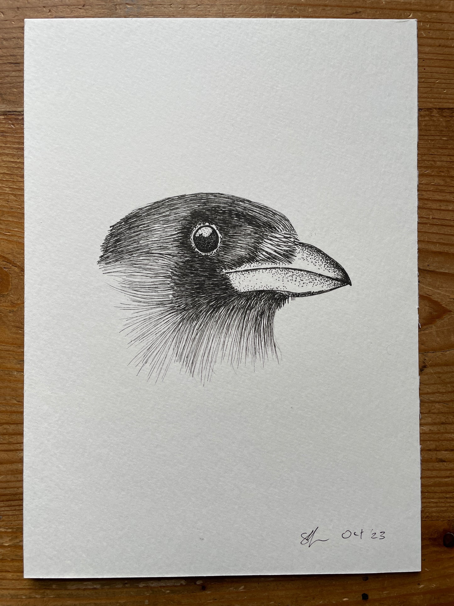 Blackbird A5 (ORIGINAL)