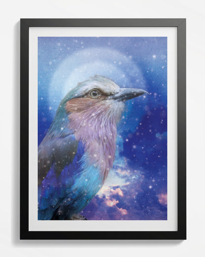 Lilac Breasted Roller