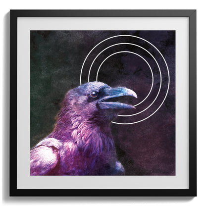 Silver Circle Raven