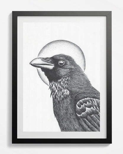 Winter Raven