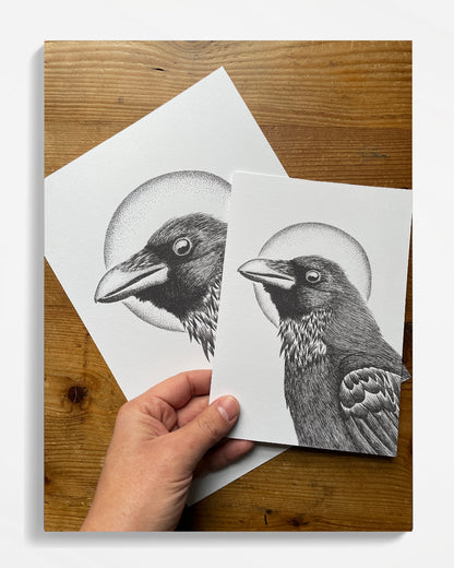Winter Raven