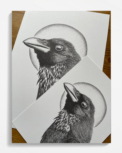 Winter Raven