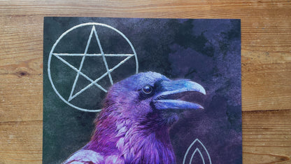 Silver Pentacle - Knot Raven