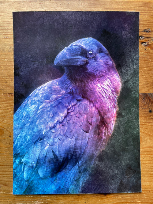 Protector Raven - Proof Print