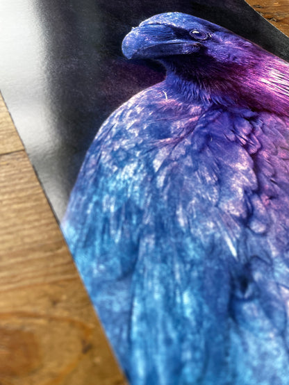 Protector Raven - Proof Print