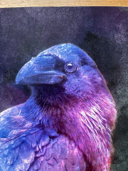 Protector Raven - Proof Print
