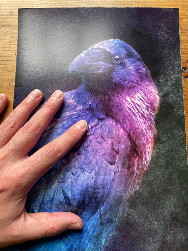 Protector Raven - Proof Print