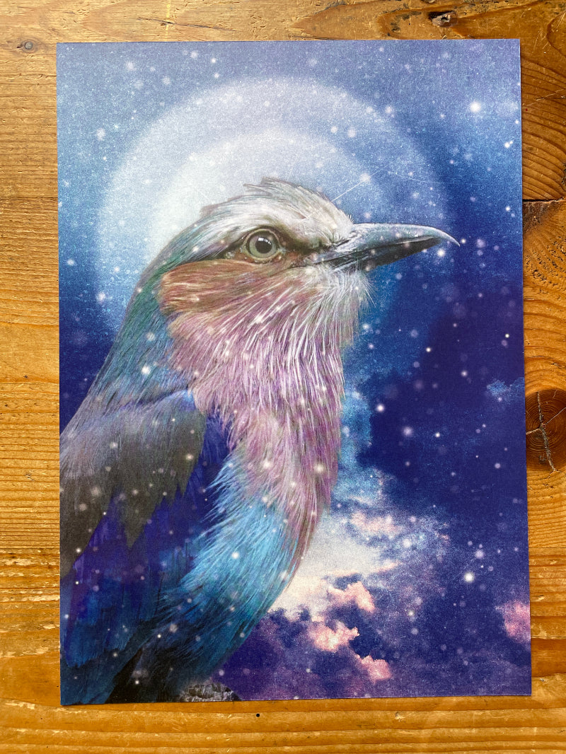 Greetings Card: Lilac Breasted Roller