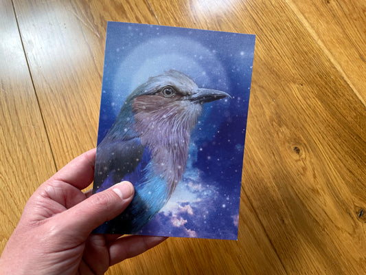 Greetings Card: Lilac Breasted Roller